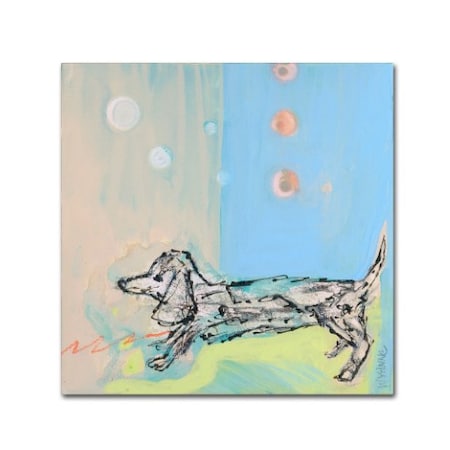 Trademark Fine Art Wyanne 'Doxie Stretch' Canvas Art, 35x35 ALI8258-C3535GG